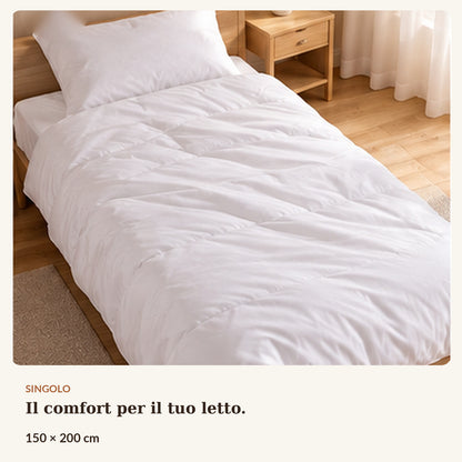 Piumino Invernale Pesante 250 GSM | Trapunta Letto in Soffice Poliestere | Massimo Calore e Comfort | Disponibile Singolo e Matrimoniale