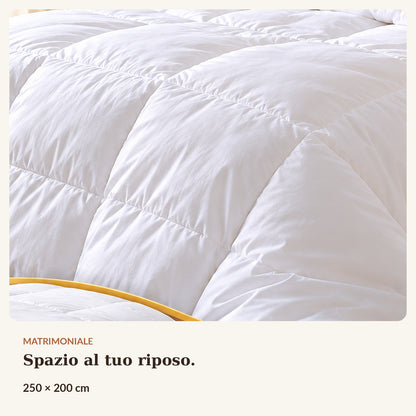 Piumino Invernale Pesante 250 GSM | Trapunta Letto in Soffice Poliestere | Massimo Calore e Comfort | Disponibile Singolo e Matrimoniale