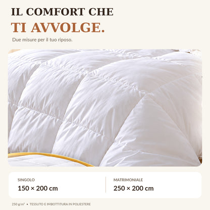 Piumino Invernale Pesante 250 GSM | Trapunta Letto in Soffice Poliestere | Massimo Calore e Comfort | Disponibile Singolo e Matrimoniale