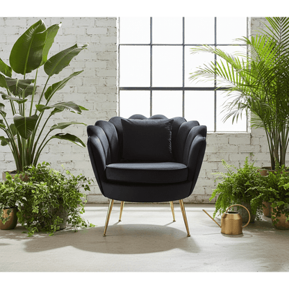 Poltrona Design Conchiglia Velluto Nero + Cuscino. Gambe Metallo Oro. Sedia Imbottita Scalloped Chair per Camera, Angolo Beauty e Salotto. Stile Moderno Vintage. 70x67x75cm